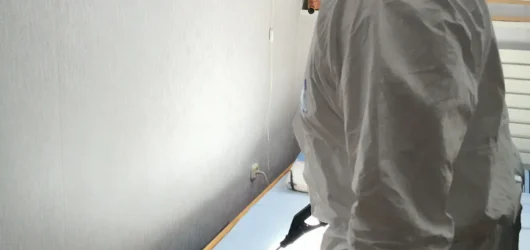 Hatékony módszerek egészségügyi kártevőirtásra