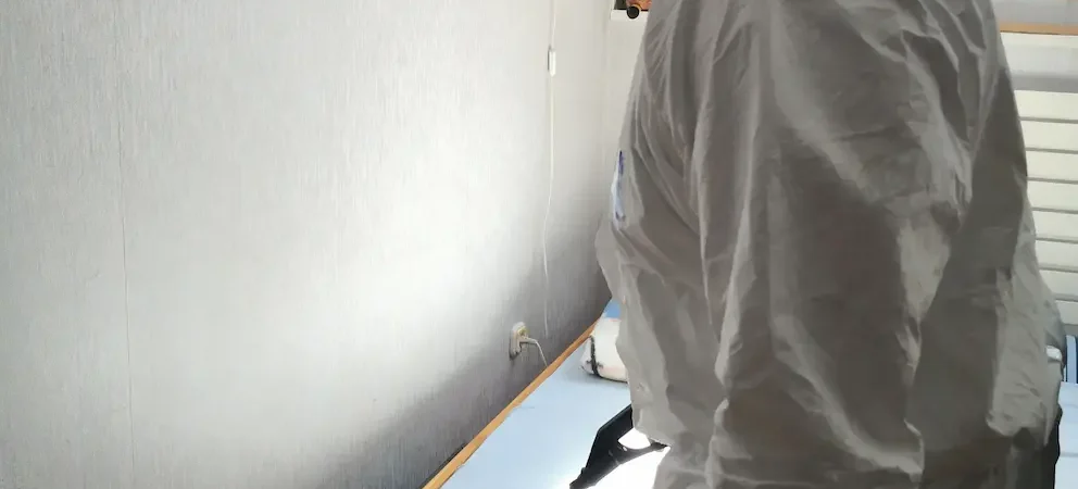 Hatékony módszerek egészségügyi kártevőirtásra